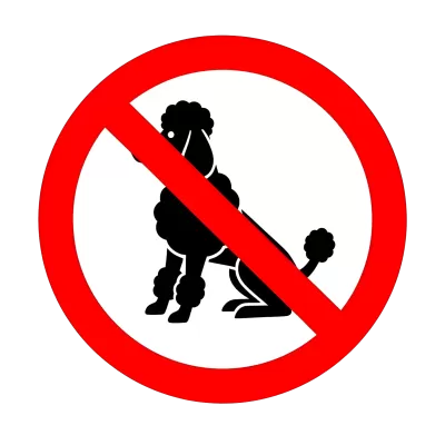 Imagen PNG para descargar